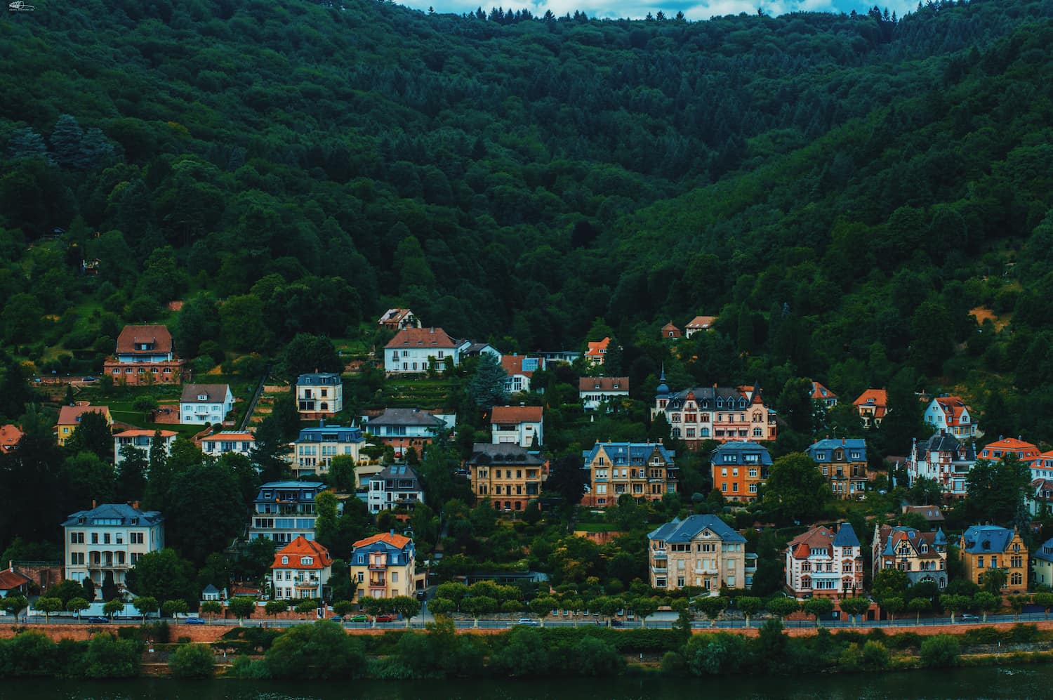 The Poor’s Right to Create Beauty